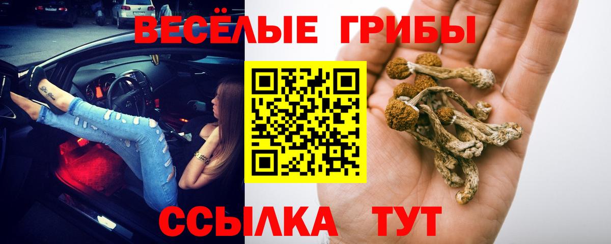 Галлюциногенные грибы Psilocybe  Вход с VPN  Нягань 